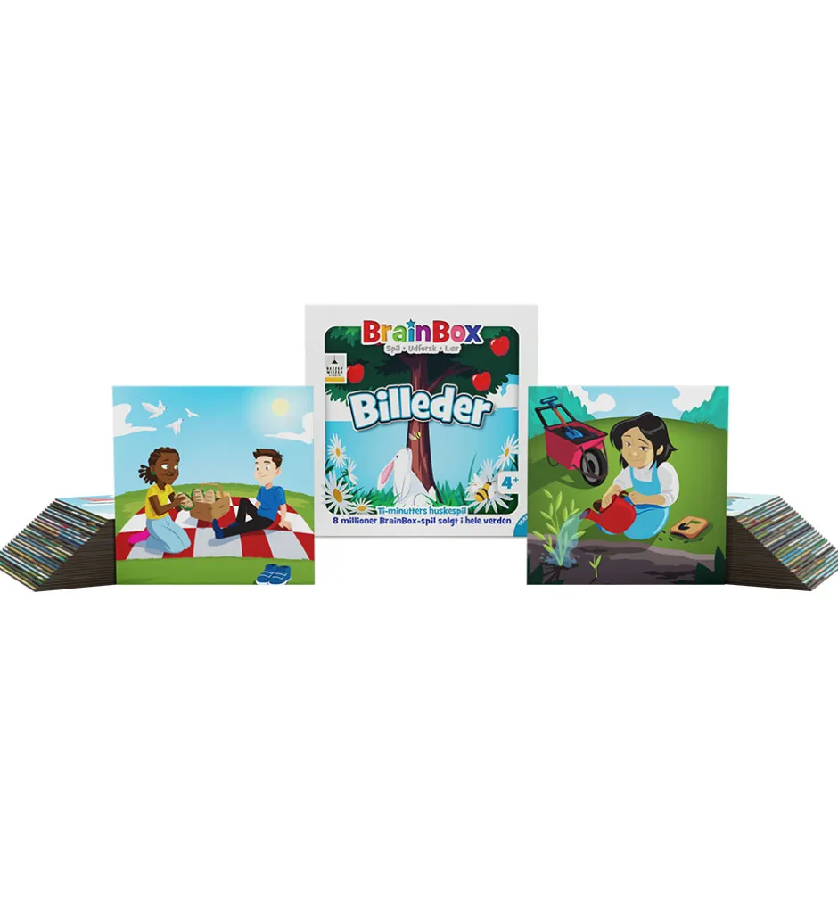 - Brainbox Huskespil - Verden>Asmodee Discount