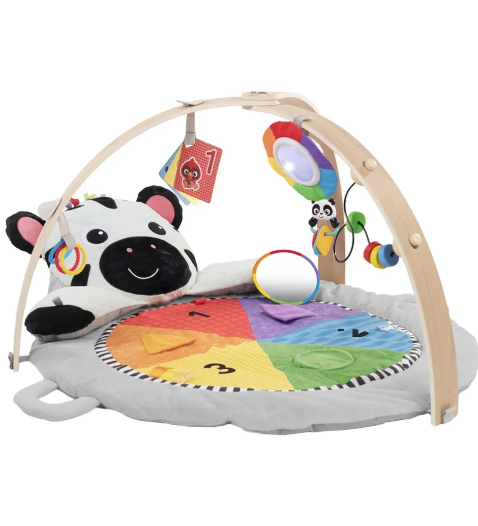 Aktivitetstæppe - Zen's Activity Milestones>Baby Einstein Clearance