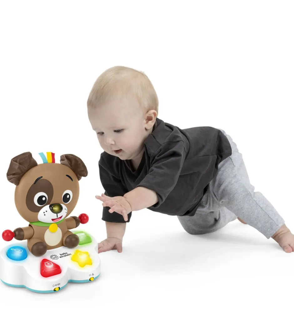 Musiklegetøj m. Trommer - Drum & Learn Dean>Baby Einstein Outlet