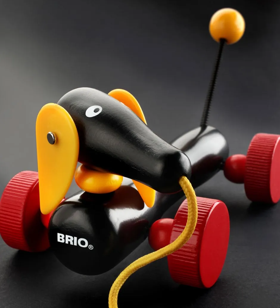 Toddler Træklegetøj - Gravhund - Dachshund 30332>BRIO Discount