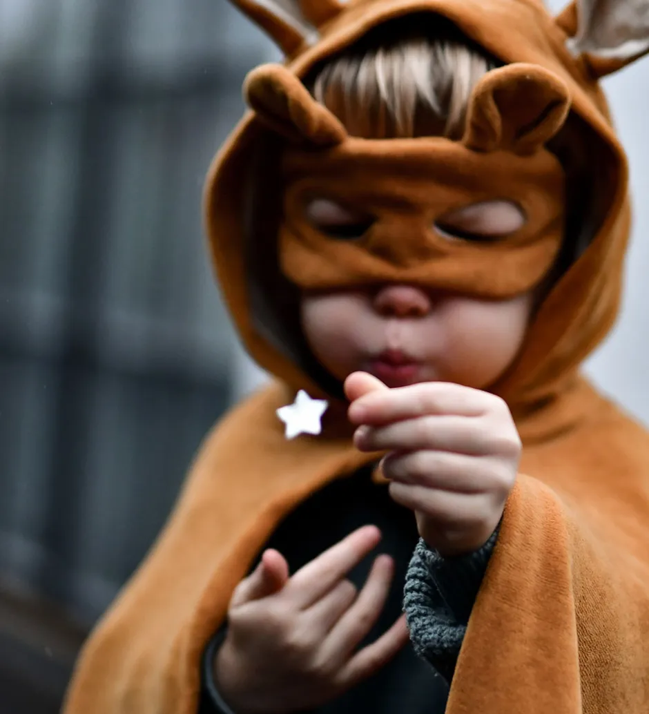 Udklædning - Animal Mask - Bear - Ochre>Fabelab Discount