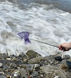 Net - Telescopic Net - Dark Purple><noscript><img width=