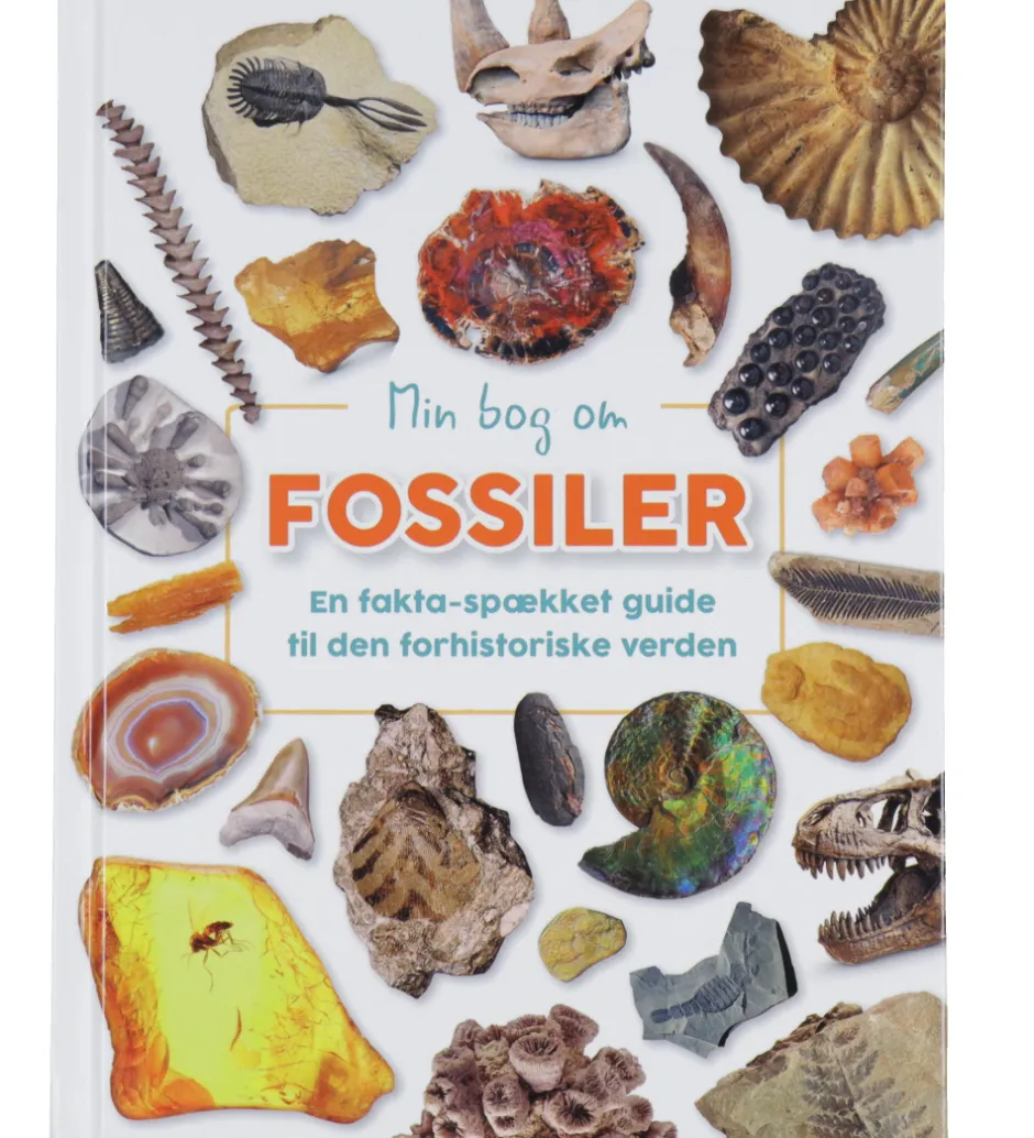 Bog - Min Bog Om Fossiler>Forlaget Bolden New