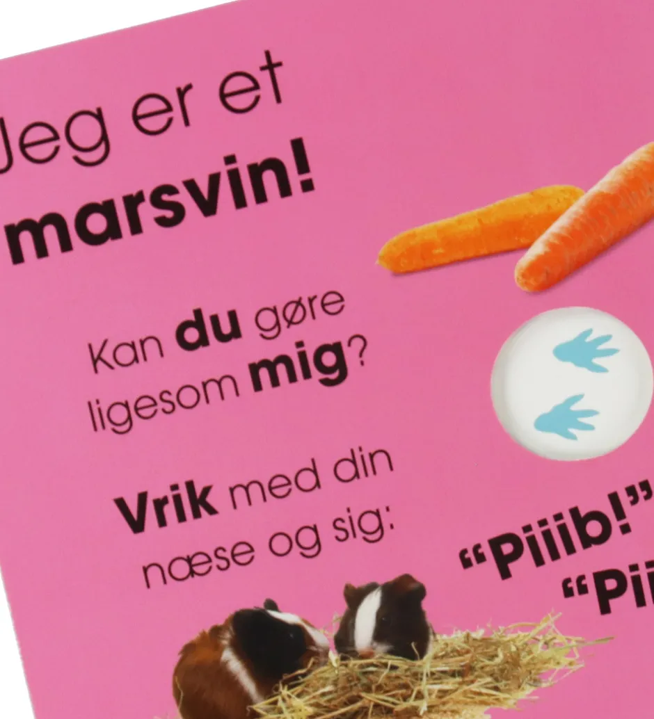 Billedbog - Hvem Er Jeg? - Kæledyr - DA>Forlaget Tukan Hot