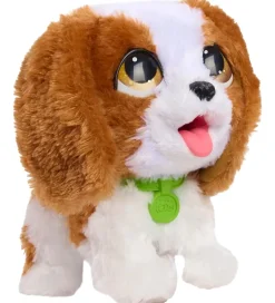 Bamse - Poop-A-Lots - King Charles Spaniel><noscript><img width=