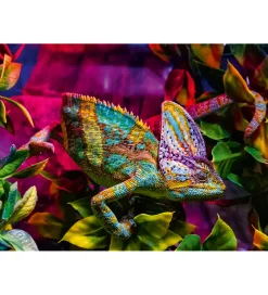 Puslespil - 500 Brikker - Chameleon>Ravensburger Online