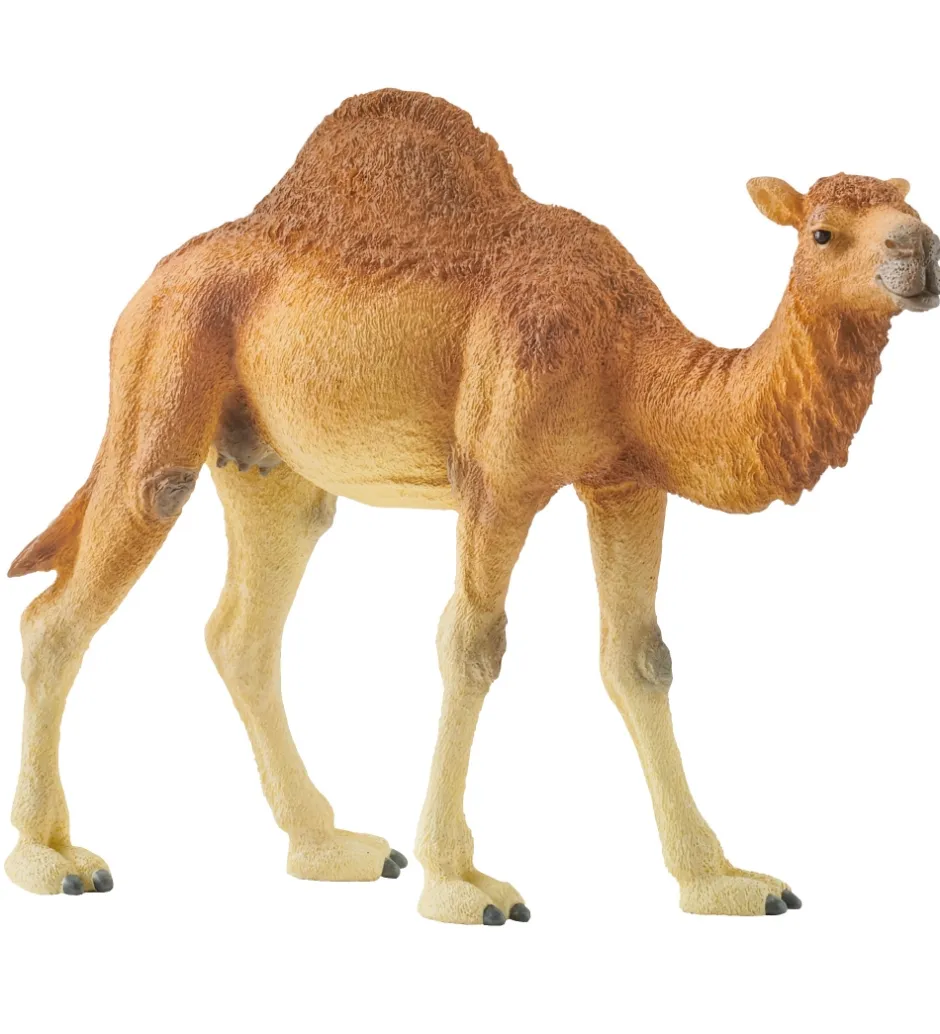 Dyr - H:11 cm - Dromedar 14832>Schleich New