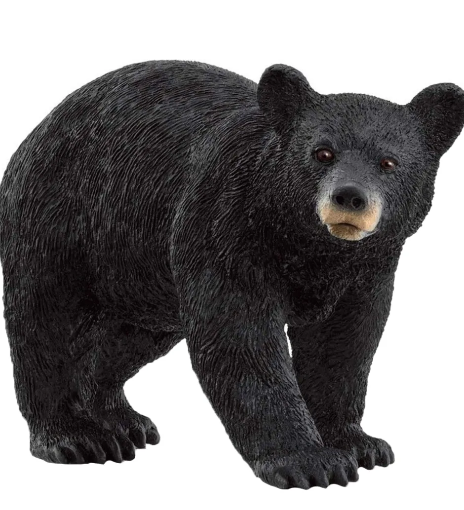 Wild Life - Amerikansk Sortbjørn - H: 11,8 cm - 14869>Schleich New