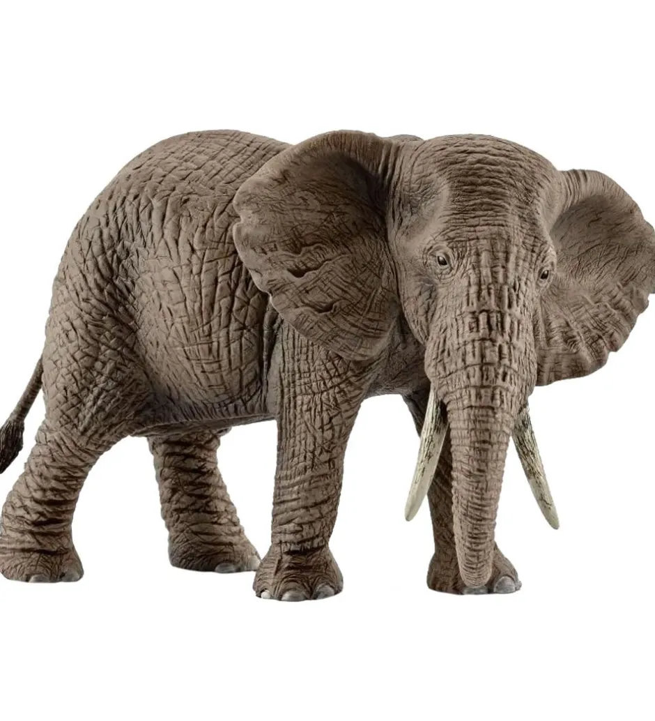 Wild Life - H: 9 cm - Afrikansk Elefant 14761>Schleich Outlet