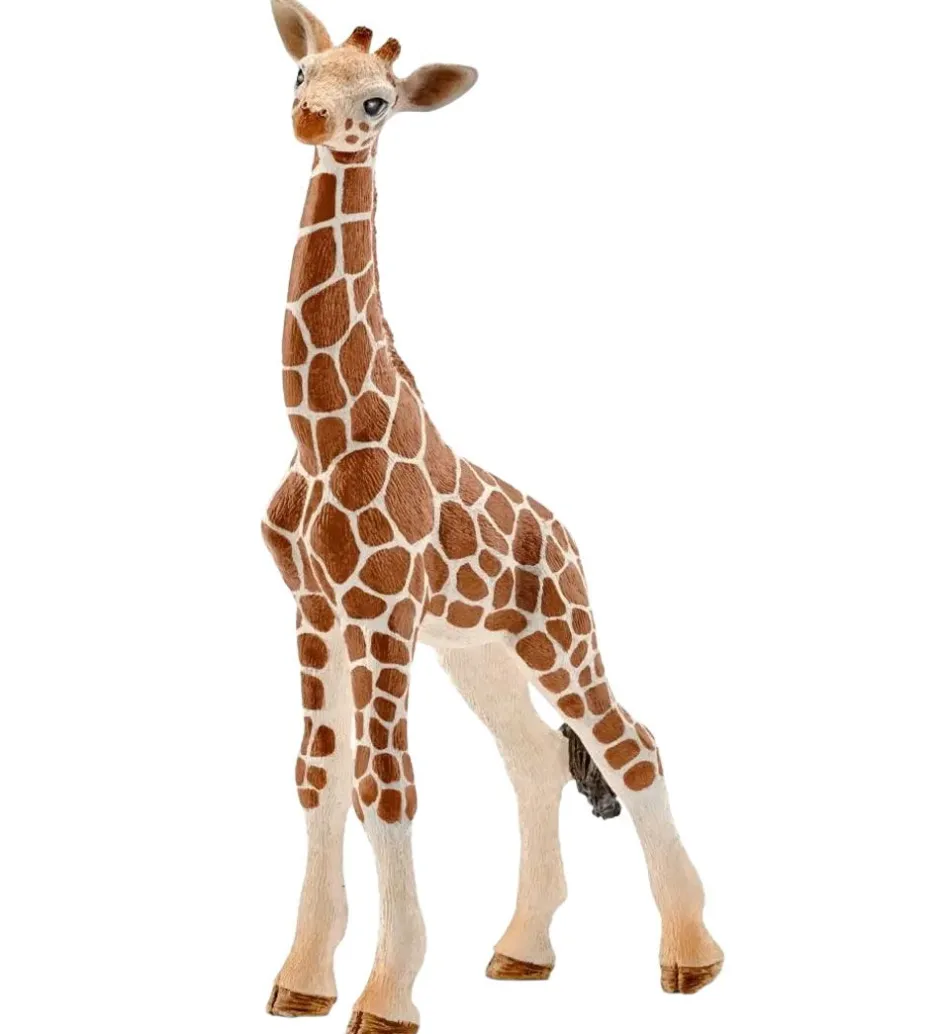 Wild Life - H: 11,5 cm - Giraf Unge 14751>Schleich Discount