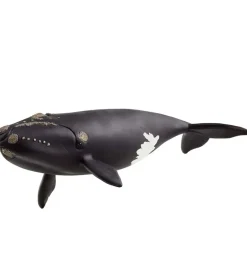 Wild Life - Nordkaper Hval - 19,5 cm - 14878>Schleich Clearance