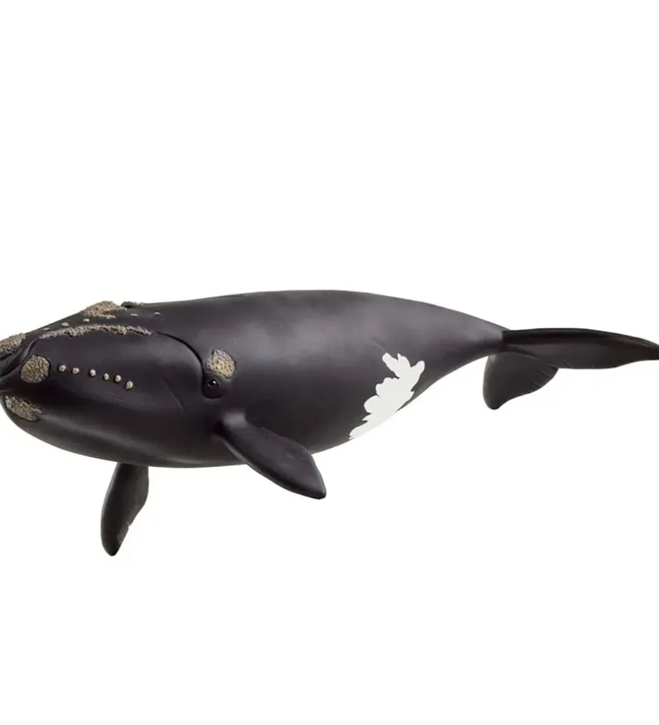 Wild Life - Nordkaper Hval - 19,5 cm - 14878>Schleich Clearance