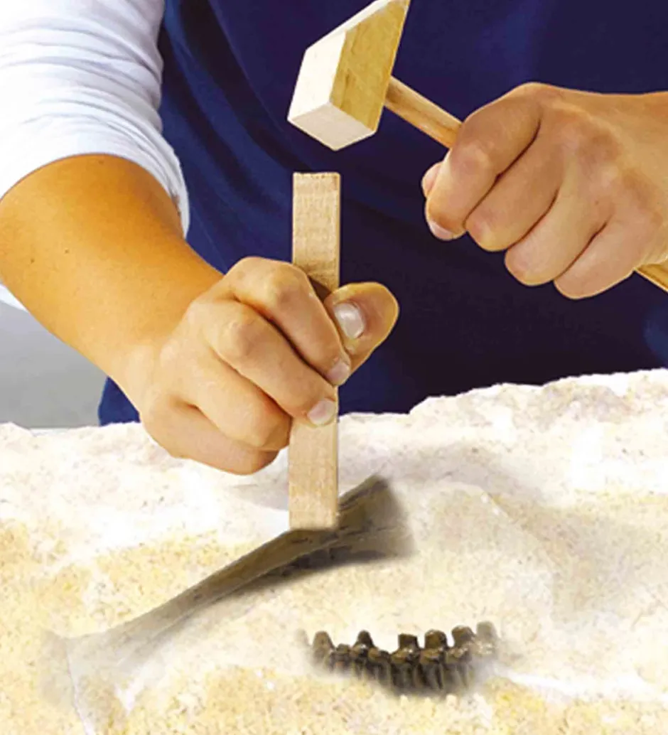 Udhug - Explore - Triceratops og Skelet>SES Creative Outlet