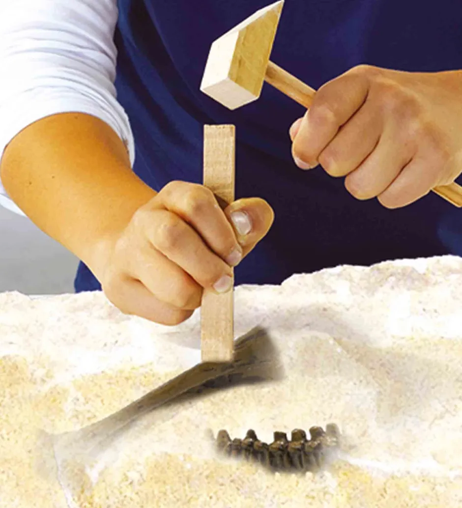 Udhug - Explore - T-rex og Skelet>SES Creative Sale