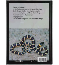 Sampak - Spil & Læs - Slanger><noscript><img width=