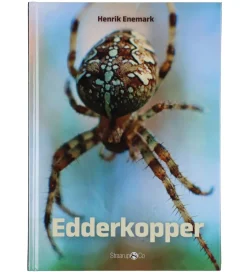 Sampak - Spil & Læs - Edderkopper>Straarup & Co Sale