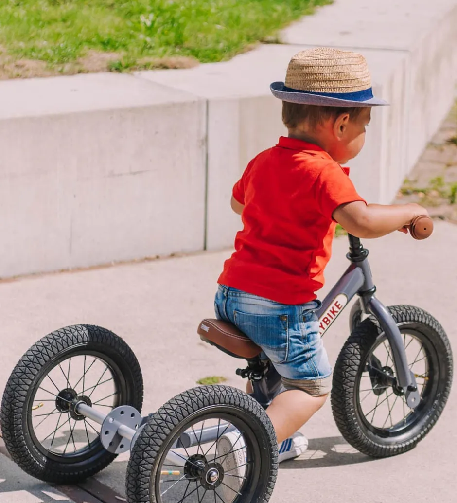 Trike Kit - Sort>TryBike Discount